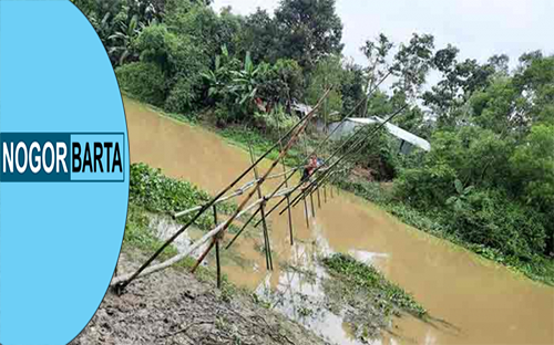 মৌলভীবাজারে গ্রামবাসীর স্বেচ্ছাশ্রমে সাঁকো নির্মাণ