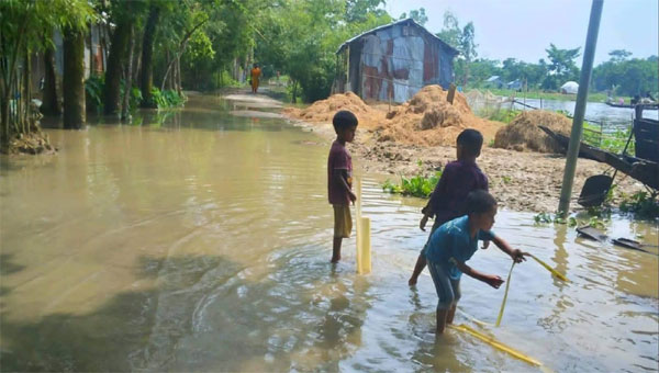 শান্তিগঞ্জে পানিতে ভেসে গেল ৬০ লাখ টাকার মাছ