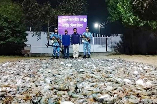 ৩৬০০ কেজি জেলিযুক্ত চিংড়ি মাছ জব্দ