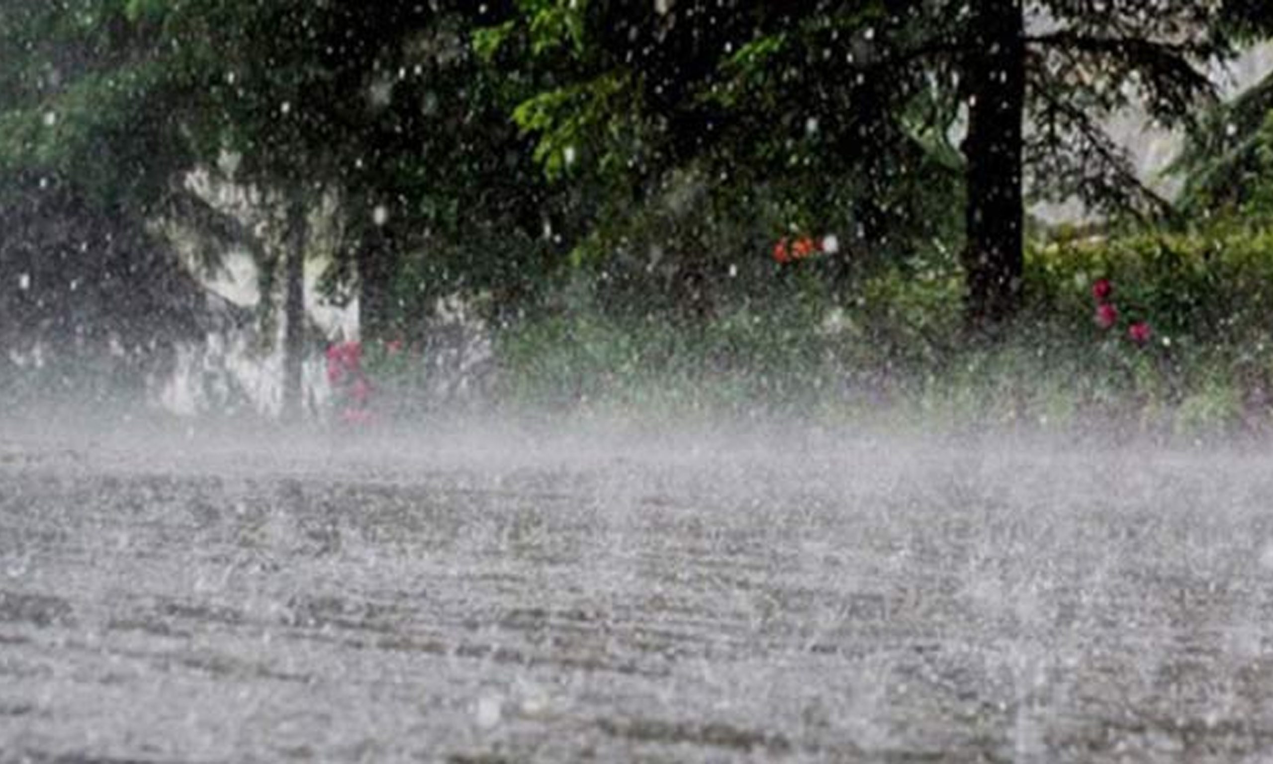 সিলেটে ২০৩ মিলিমিটার বৃষ্টিপাত