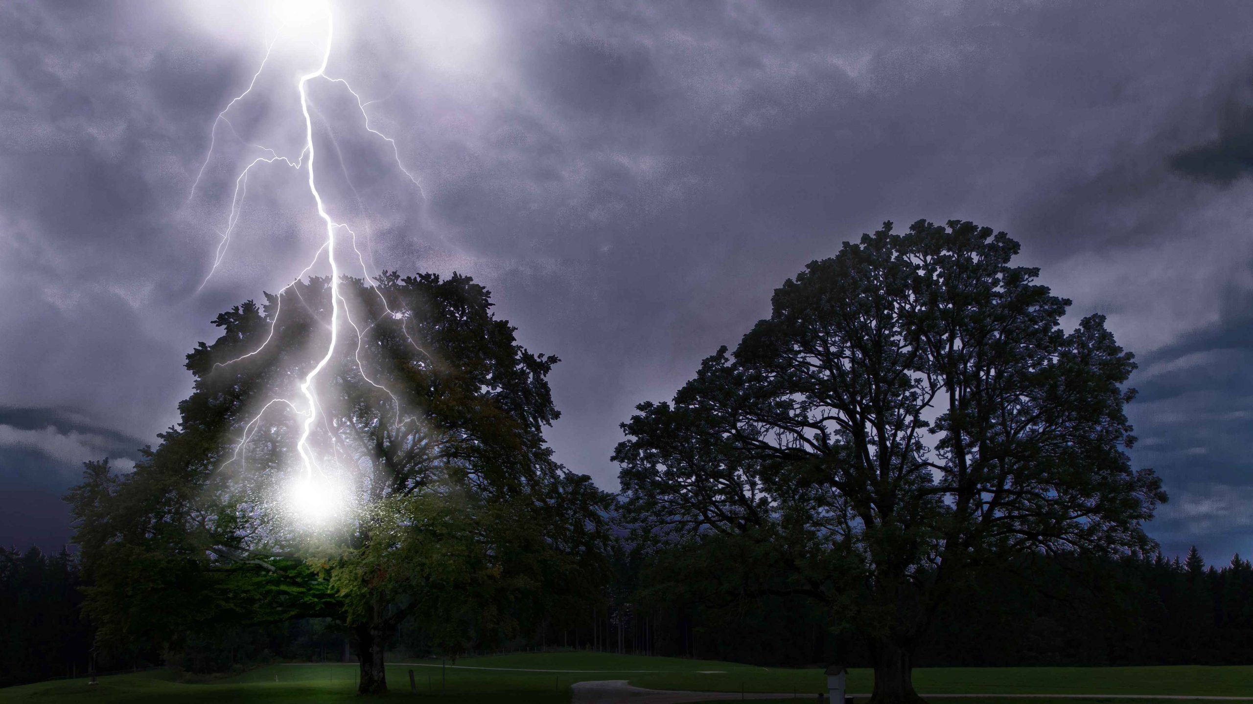 দেশে বজ্রপাতে প্রাণ গেল ১২ জনের